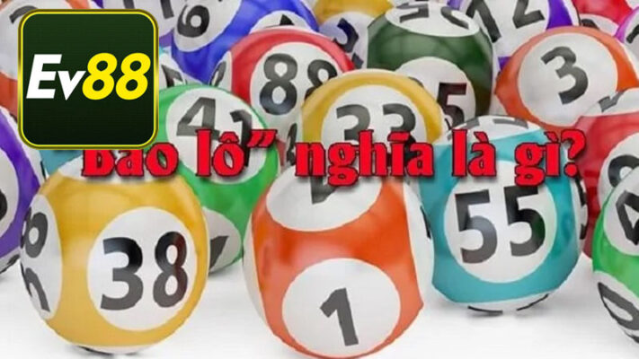 Bao lô là gì?