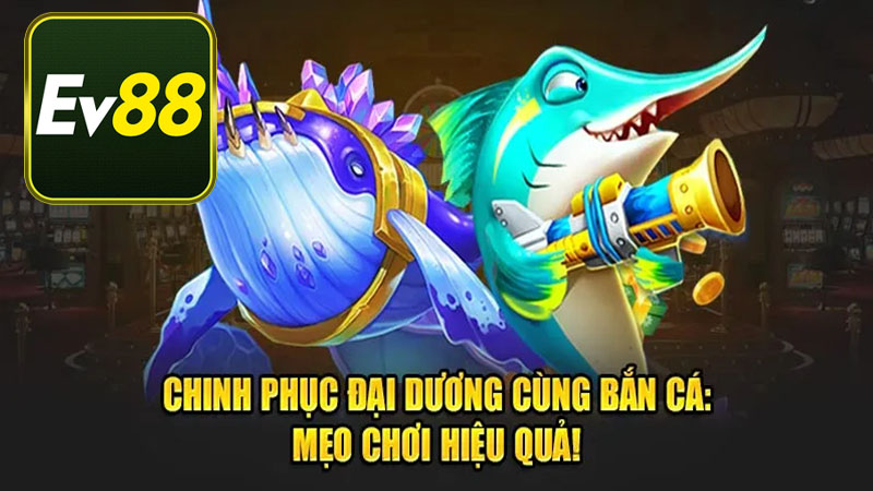 Lưu ý khi áp dụng mẹo Bắn Cá